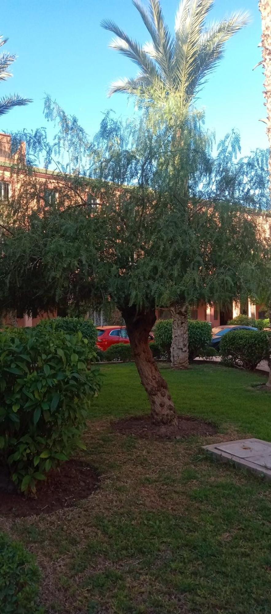 Riad Al-Bushra Marrakesh Extérieur photo