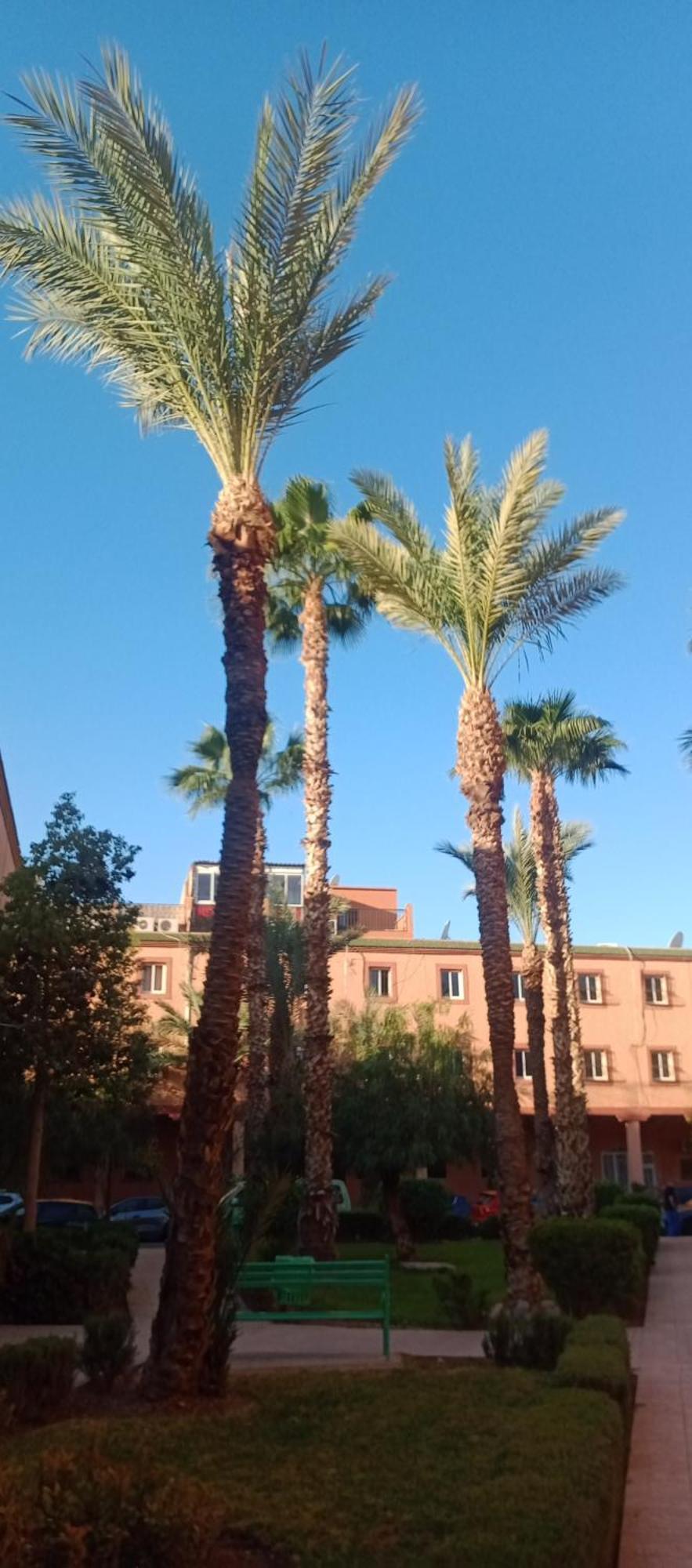 Riad Al-Bushra Marrakesh Extérieur photo
